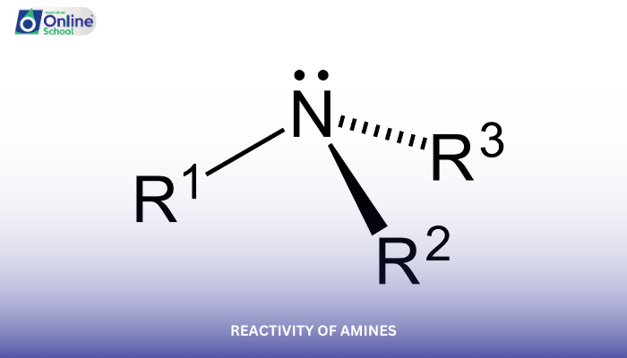 Lesson 10: Reactivity of Amines